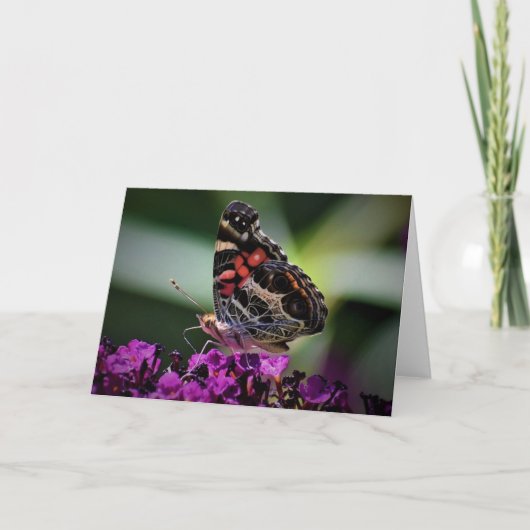 Schmetterling, Karte (Vorderseite)
