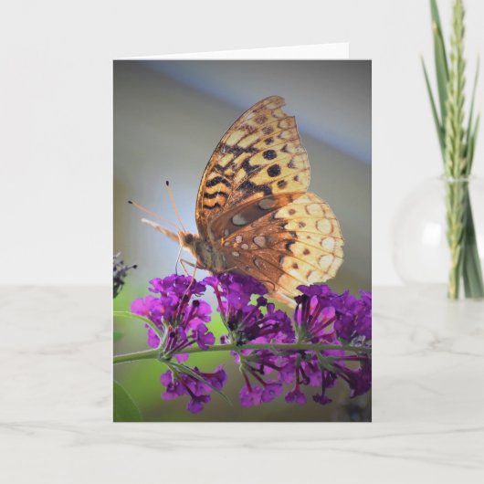Schmetterling, Karte (Vorderseite)