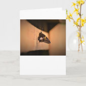 Schmetterling, Karte (Gelbe Blume)