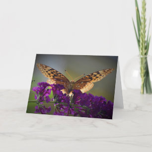 Schmetterling, Karte