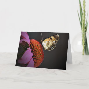 Schmetterling, Karte