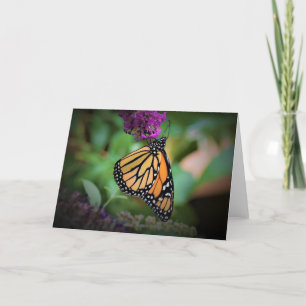 Schmetterling, Karte