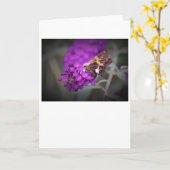 Schmetterling, Karte (Gelbe Blume)