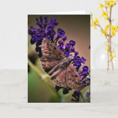 Schmetterling, Karte (Gelbe Blume)