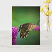 Schmetterling, Karte (Gelbe Blume)