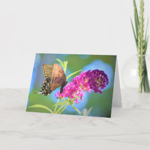 Schmetterling, Karte