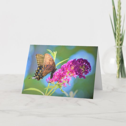Schmetterling, Karte (Vorderseite)