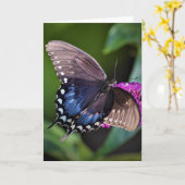 Schmetterling, Karte (Gelbe Blume)