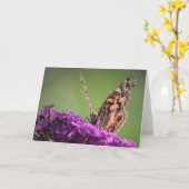 Schmetterling, Karte (Gelbe Blume)