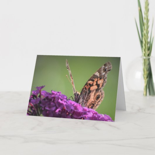 Schmetterling, Karte (Vorderseite)