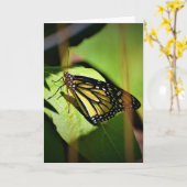 Schmetterling, Karte (Gelbe Blume)