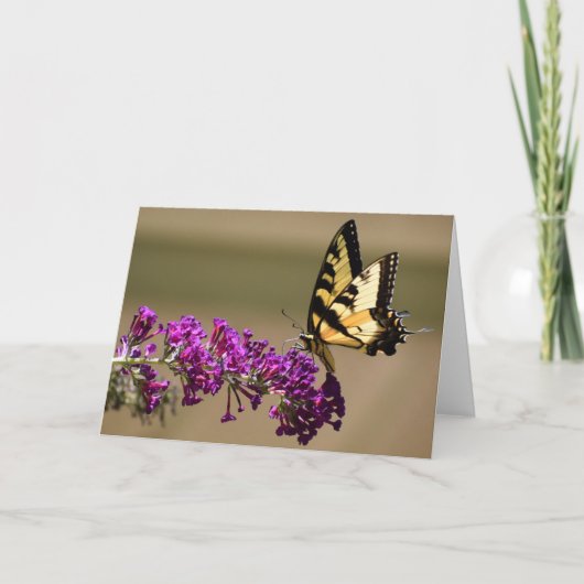 Schmetterling, Karte (Vorderseite)