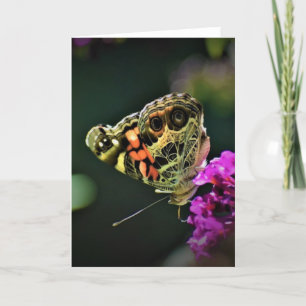 Schmetterling, Karte