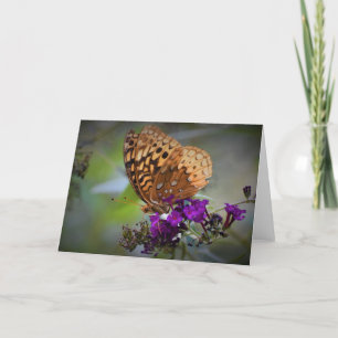 Schmetterling, Karte