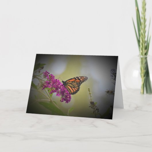 Schmetterling, Karte (Vorderseite)