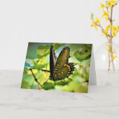 Schmetterling, Karte (Gelbe Blume)