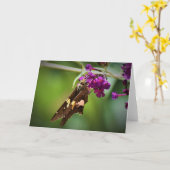 Schmetterling, Karte (Gelbe Blume)