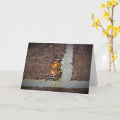 Schmetterling, Karte (Gelbe Blume)