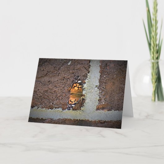 Schmetterling, Karte (Vorderseite)