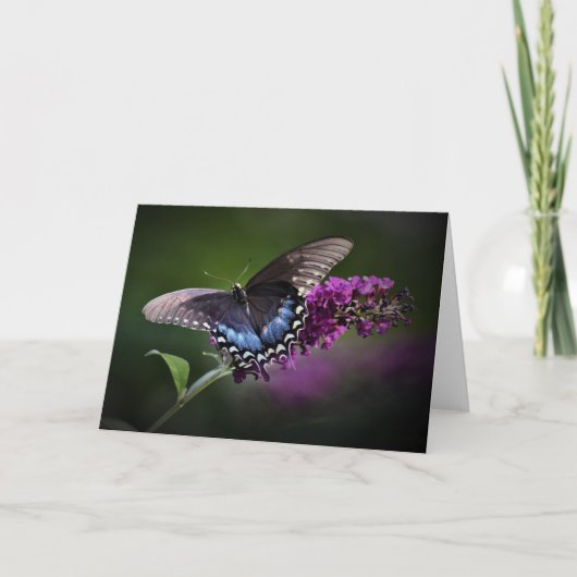 Schmetterling, Karte (Vorderseite)