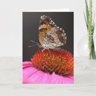 Schmetterling, Karte