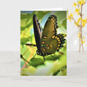 Schmetterling, Karte (Gelbe Blume)