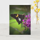 Schmetterling, Karte (Gelbe Blume)
