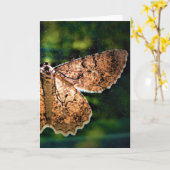 Schmetterling, Karte (Gelbe Blume)
