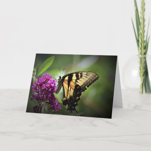Schmetterling, Karte (Vorderseite)