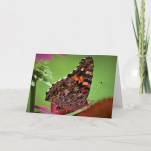 Schmetterling, Karte
