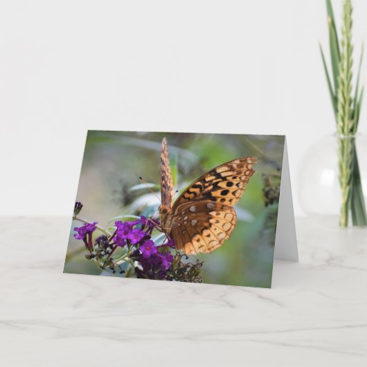 Schmetterling, Karte (Vorderseite)