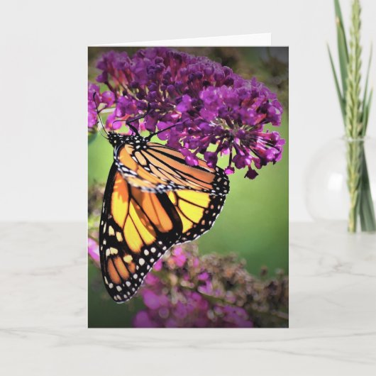 Schmetterling, Karte (Vorderseite)