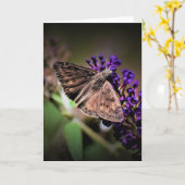 Schmetterling, Karte (Gelbe Blume)