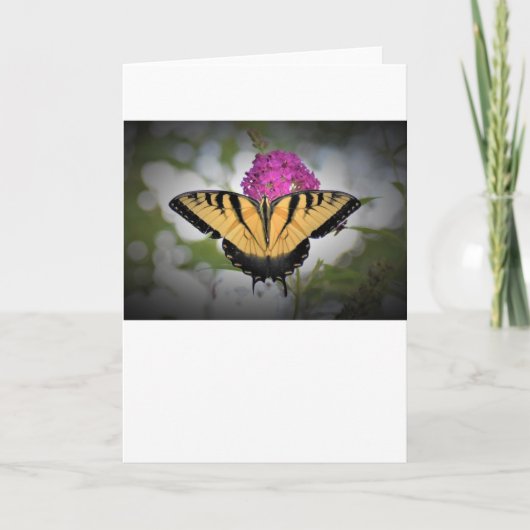 Schmetterling, Karte (Vorderseite)