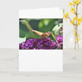Schmetterling, Karte (Gelbe Blume)