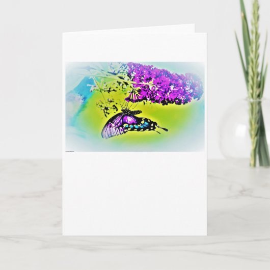 Schmetterling, Karte (Vorderseite)