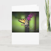 Schmetterling, Karte (Vorderseite)