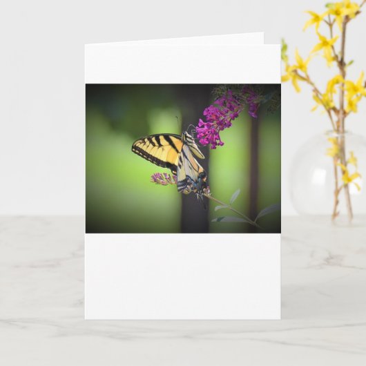 Schmetterling, Karte (Gelbe Blume)