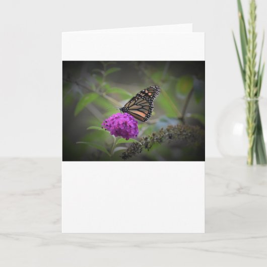 Schmetterling, Karte (Vorderseite)