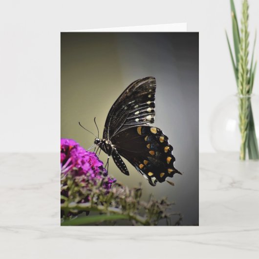 Schmetterling, Karte (Vorderseite)