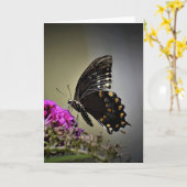 Schmetterling, Karte (Gelbe Blume)