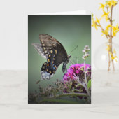 Schmetterling, Karte (Gelbe Blume)