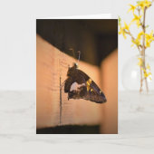 Schmetterling, Karte (Gelbe Blume)
