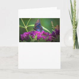 Schmetterling, Karte