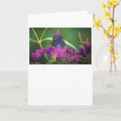 Schmetterling, Karte (Gelbe Blume)