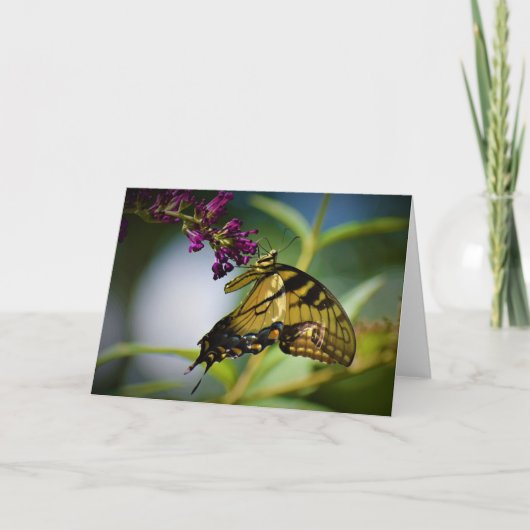 Schmetterling, Karte (Vorderseite)
