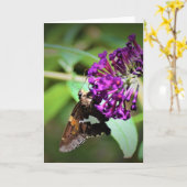 Schmetterling, Karte (Gelbe Blume)