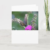 Schmetterling, Karte (Vorderseite)