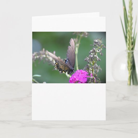 Schmetterling, Karte (Vorderseite)