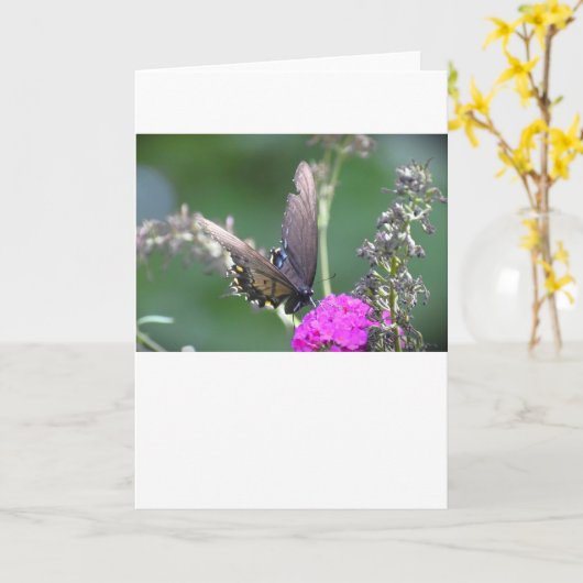 Schmetterling, Karte (Gelbe Blume)